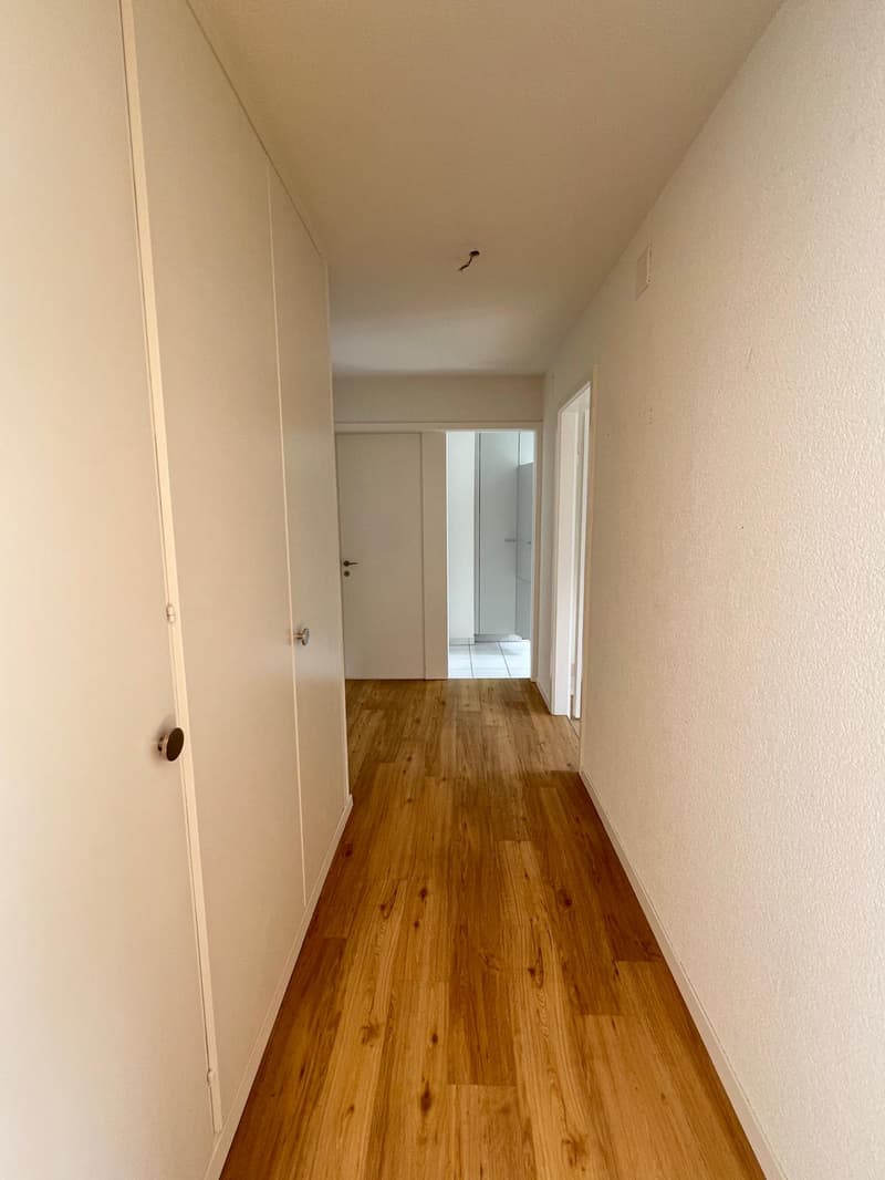 Charmante 2-Zimmerwohnung in Zürich-Albisrieden (2)