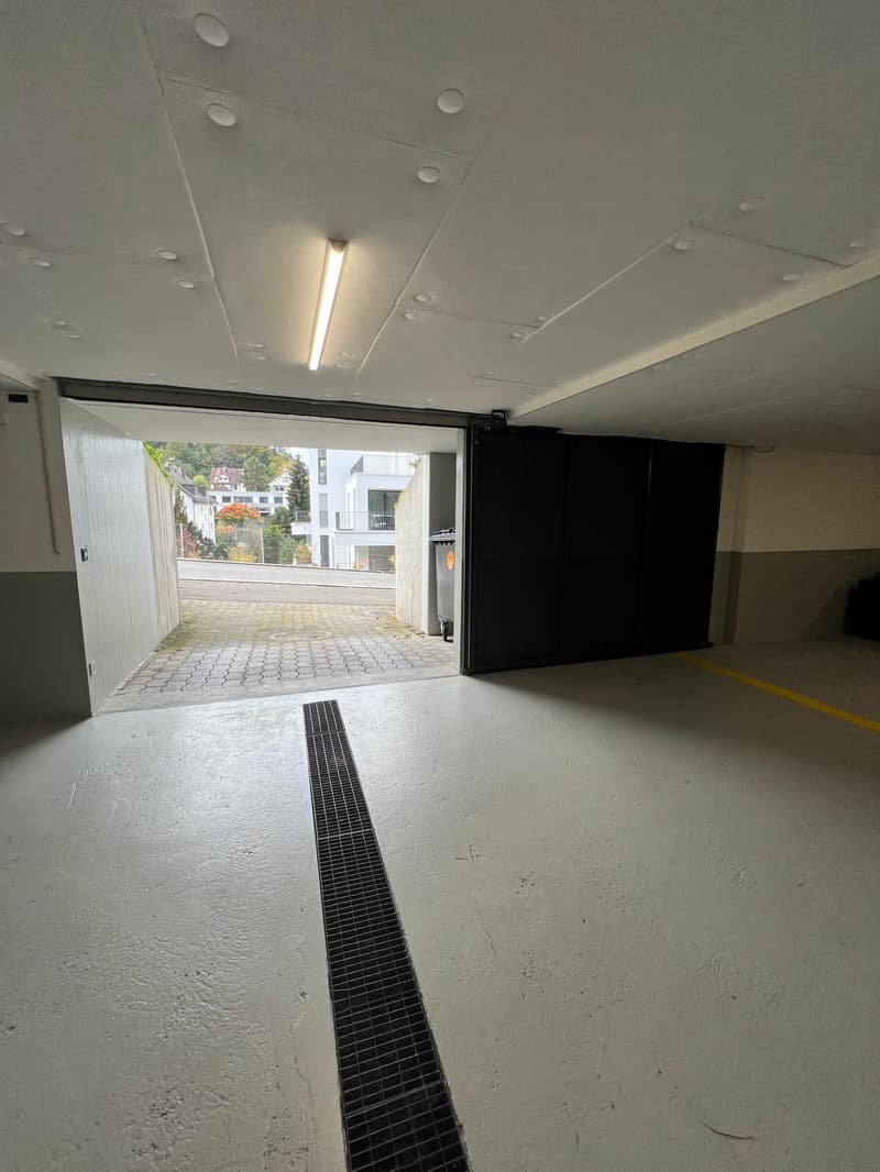 Doppelstellplatz mit Ladestation in Kilchberg zu vermieten (2)
