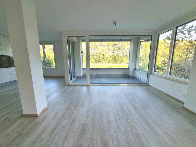 lichtdurchflutete 2.5 Zimmerwohnung zu vermieten (3)