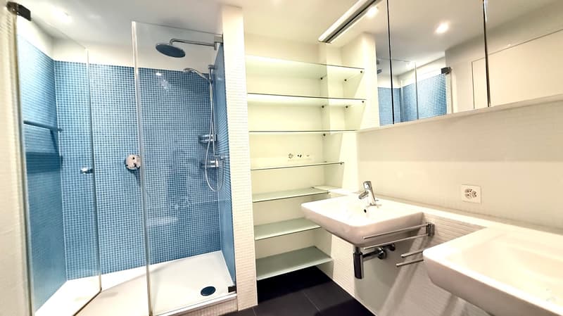 Elegante City-Wohnung in historischer Liegenschaft (10)