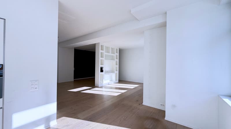 Grosszügiges Loft-Apartment an der Badenerstrasse in Zürich-Altstetten (1)