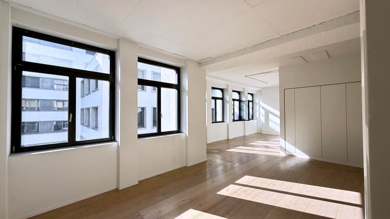 Grosszügiges Loft-Apartment an der Badenerstrasse in Zürich-Altstetten (8)
