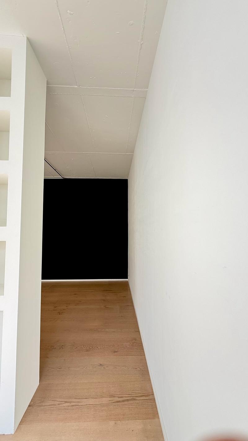 Grosszügiges Loft-Apartment an der Badenerstrasse in Zürich-Altstetten (2)