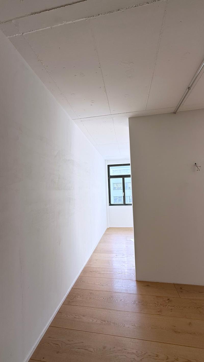 Grosszügiges Loft-Apartment an der Badenerstrasse in Zürich-Altstetten (6)