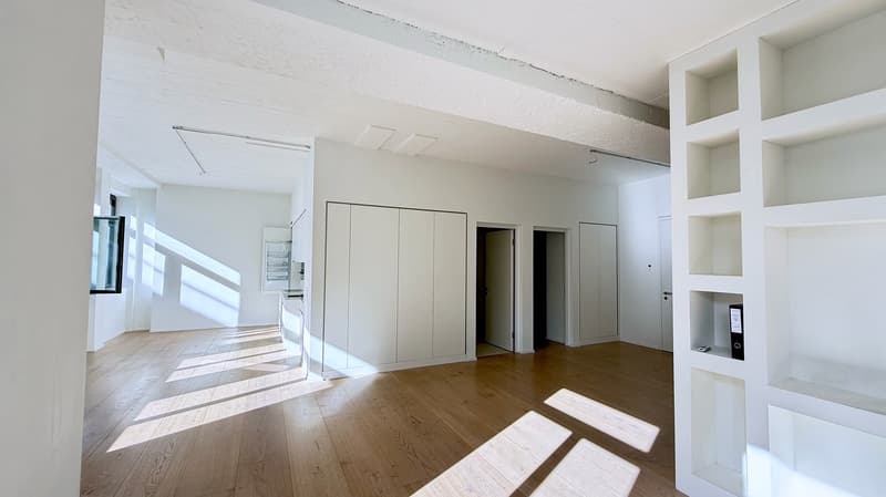 Grosszügiges Loft-Apartment an der Badenerstrasse in Zürich-Altstetten (3)