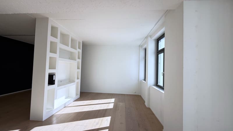 Grosszügiges Loft-Apartment an der Badenerstrasse in Zürich-Altstetten (5)