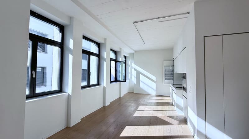Grosszügiges Loft-Apartment an der Badenerstrasse in Zürich-Altstetten (4)