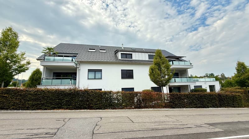 Geräumige 4.5-Zimmer-Wohnung im Erdgeschoss in Richterswil (1)