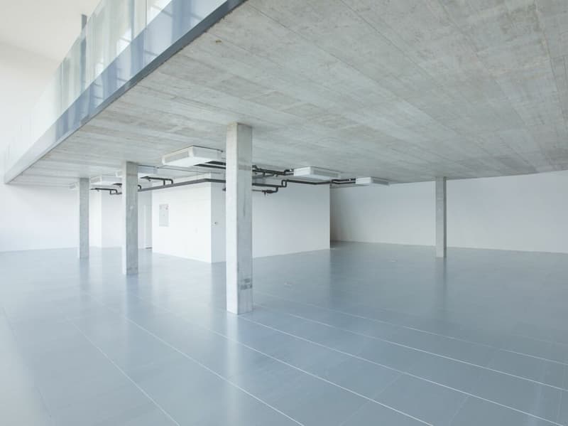 Uffici e spazi commerciali "Im Fokus" di circa 477 m² / Duplex (7)