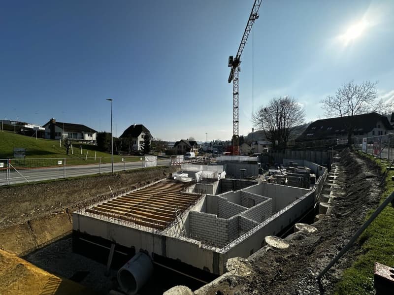 Der schönste Ausblick ins Grüne. (9)