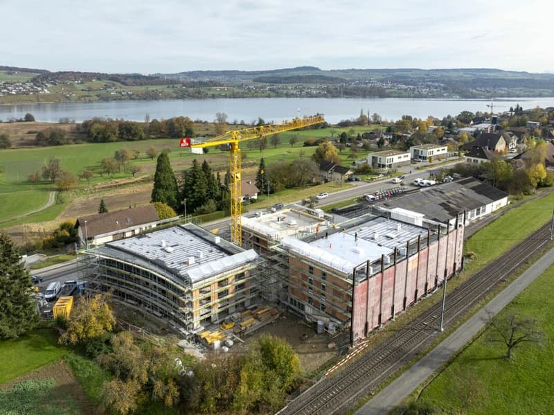 "Seeluft" Boniswil - 4.5-room apartment on the 2nd floor near Hallwilersee (12)