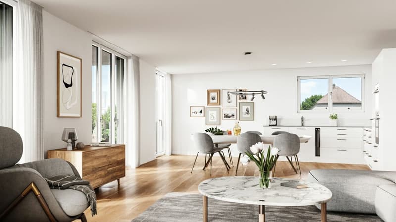 Patio Dulliken - La mia nuova casa - 80% venduto! (3)