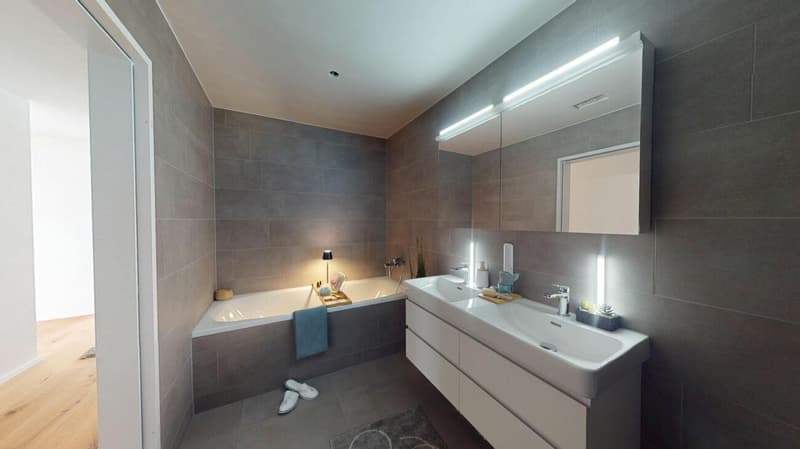 Patio Dulliken - letzte 3.5 Zimmer-Garten-Wohnung - 95% verkauft! (8)