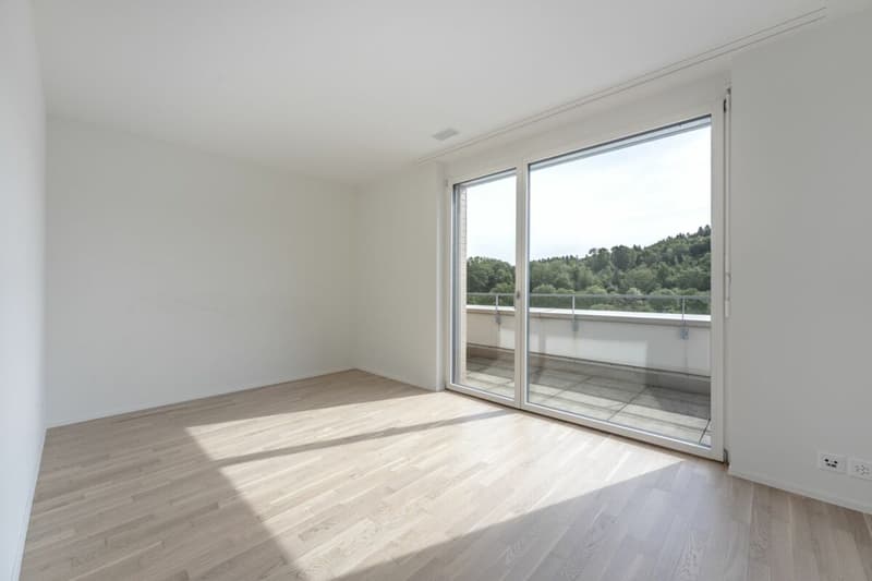 Attikawohnung mit 120 m² Terrasse und unverbautem Blick auf Wald und Weite (6)