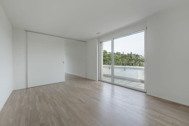Attikawohnung mit 120 m² Terrasse und unverbautem Blick auf Wald und Weite (5)