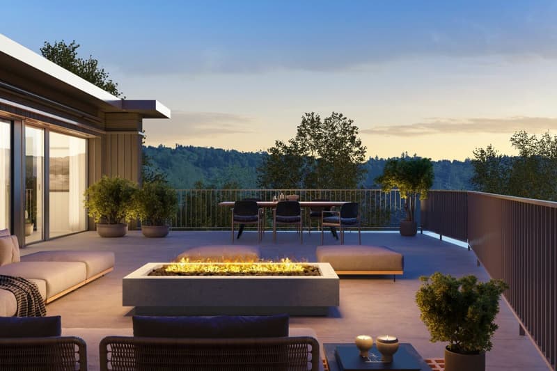 Penthouse Living zwischen Aarau und Zofingen (3)