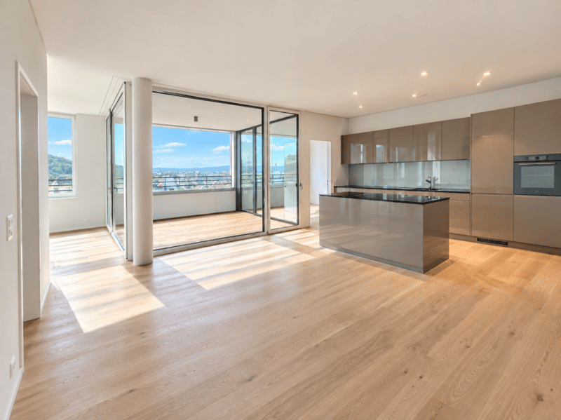 Einmalige 4.5-Zimmerwohnung im 9. Obergeschoss mit Weitblick über das Suhrental (1)