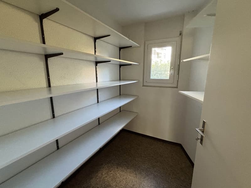 3 1/2 - Zimmer-Parterre-Wohnung mit grossem Gartensitzplatz (12)