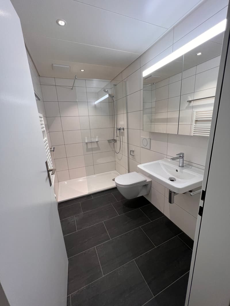 5 1/2-ZIMMER-ATTIKAWOHNUNG; NEU RENOVIERT (10)