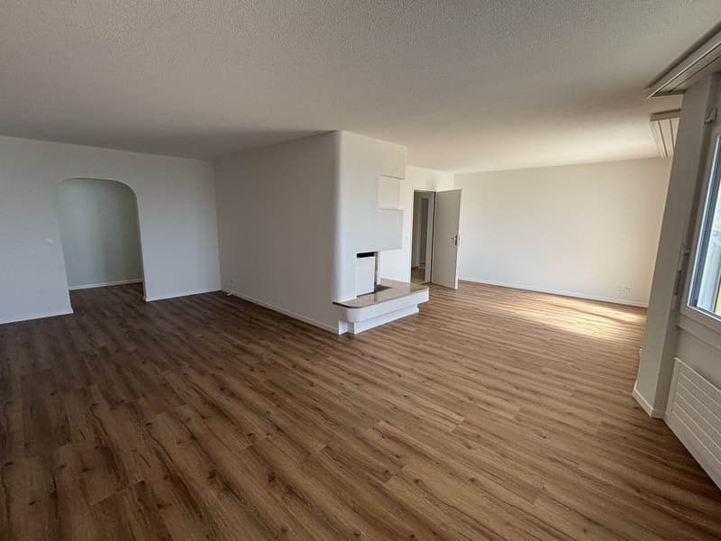 5 1/2-ZIMMER-ATTIKAWOHNUNG; NEU RENOVIERT (3)