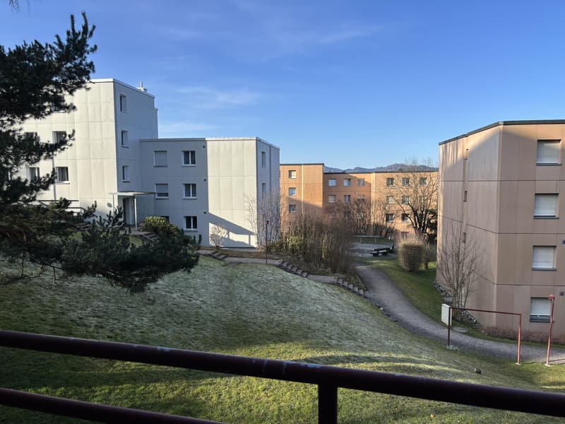 helle und grosszügige 3.5 Zimmerwohnung mit frisch sanierter Küche in St. Gallen (12)