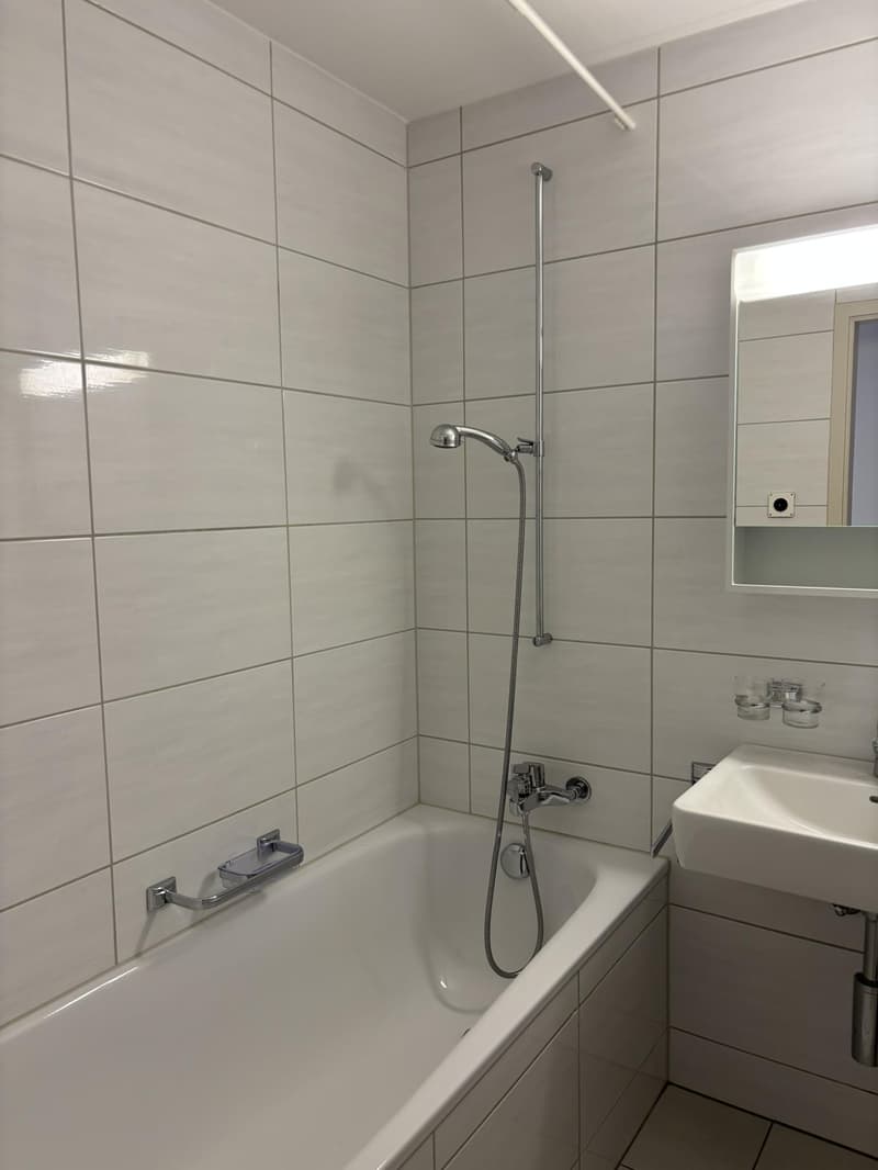 helle und grosszügige 3.5 Zimmerwohnung mit frisch sanierter Küche in St. Gallen (5)