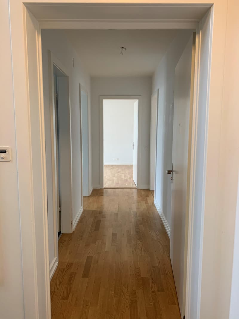 2.0 Zimmer-Wohnung in Zürich (5)