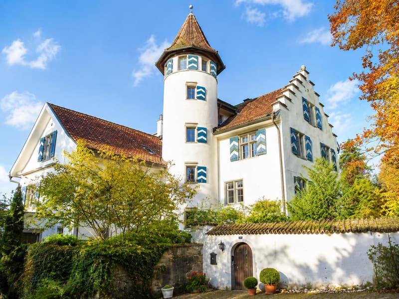 4.5-Zimmer-Wohnung im historischen Schloss Wiggen (1)