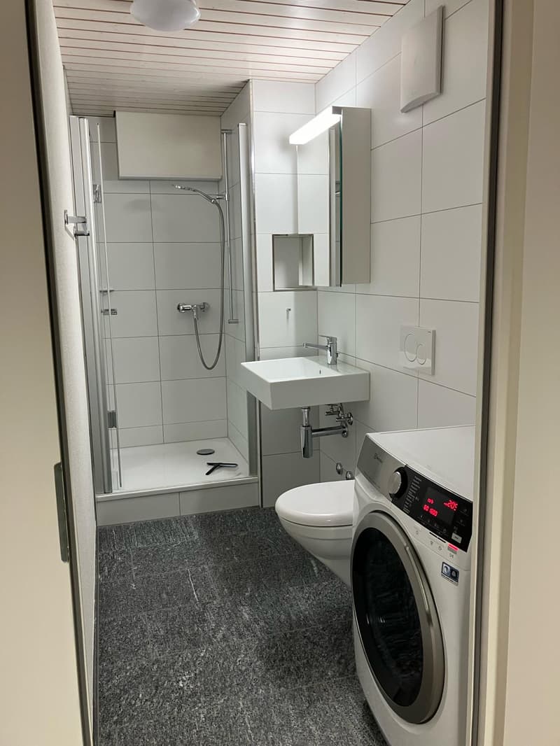 1.0 Zimmerwohnung in Zell ZH (5)