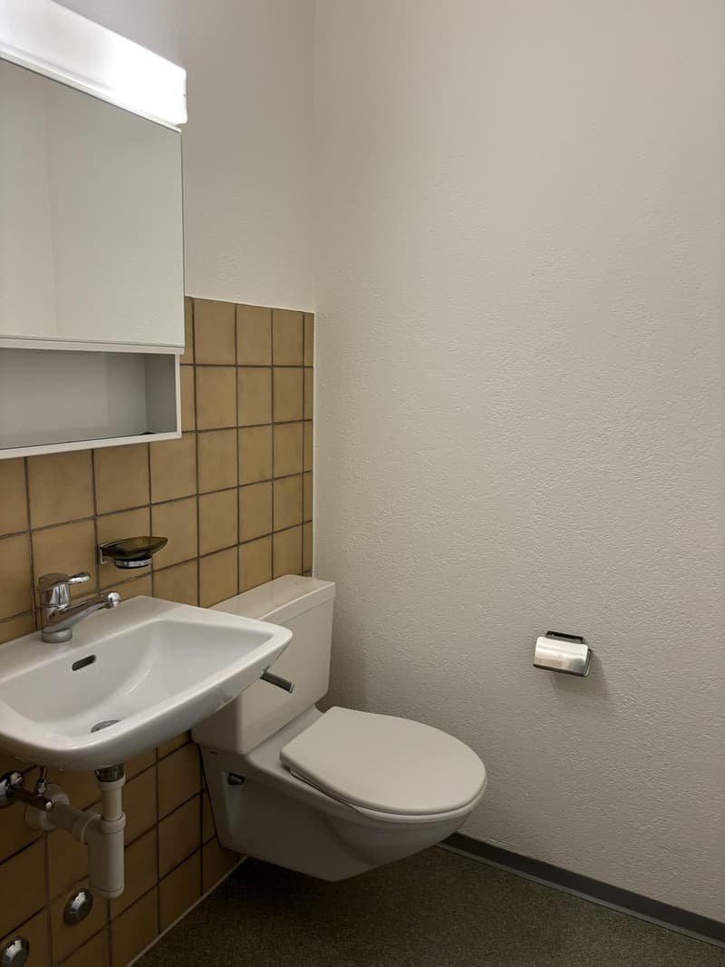 4.5 Zimmerwohnung in Fahrweid (befristete Vermietung bis 02.2029) (9)