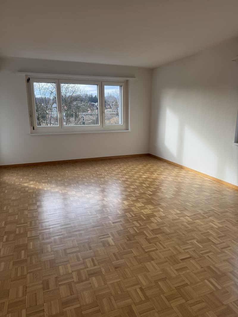 3.0 Zimmerwohnung in Effretikon (3)