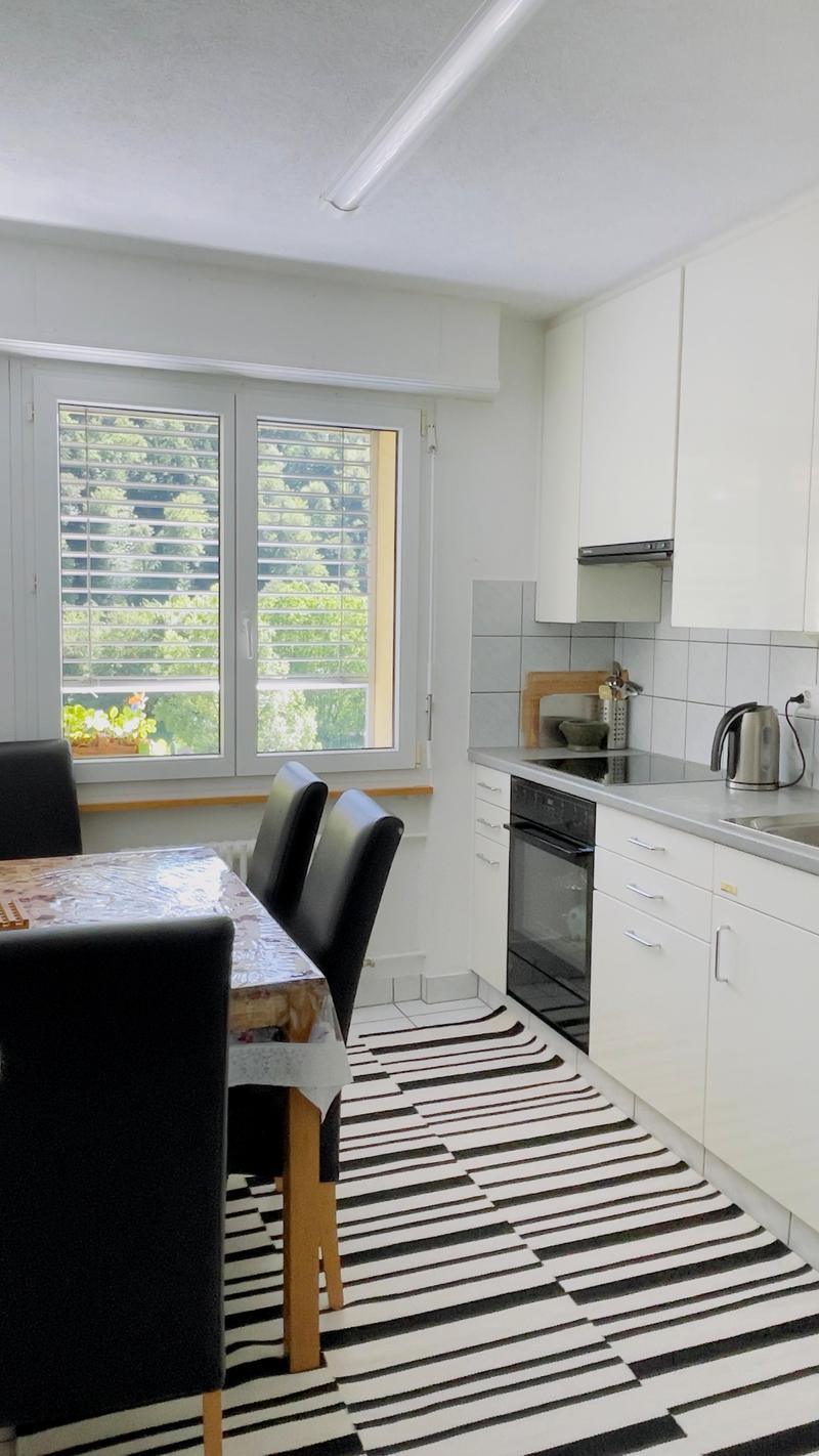 3-Zimmer-Wohnung in Kollbrunn (3)