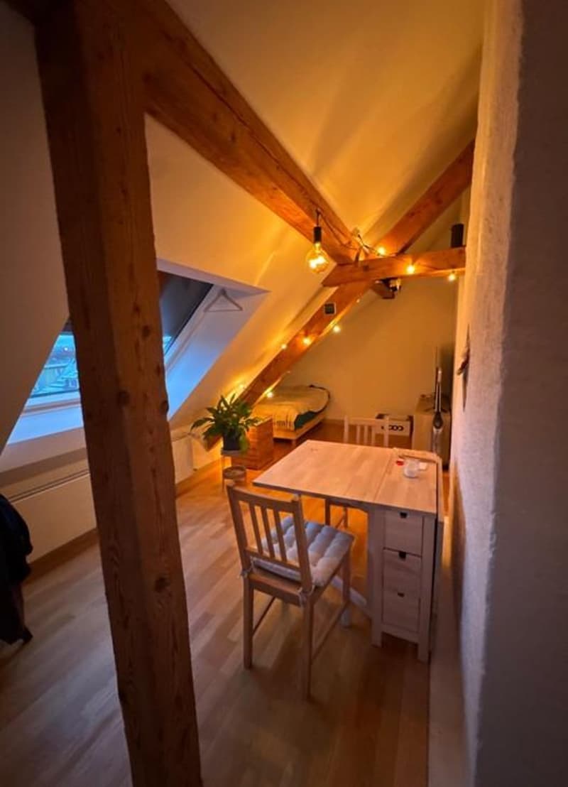 1.5 Zimmerwohnung in Winterthur (9)