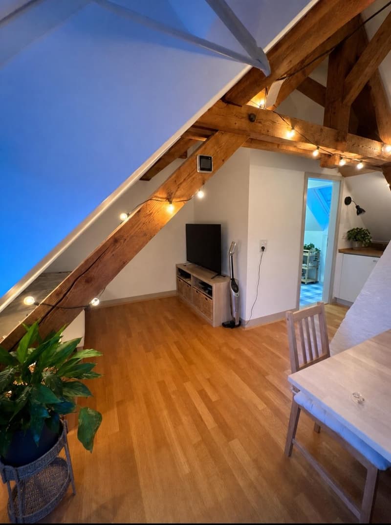 1.5 Zimmerwohnung in Winterthur (8)