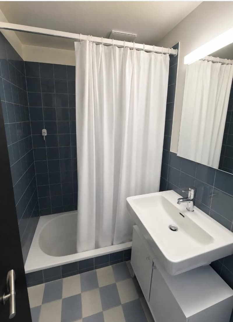 1.5 Zimmerwohnung in Winterthur (6)