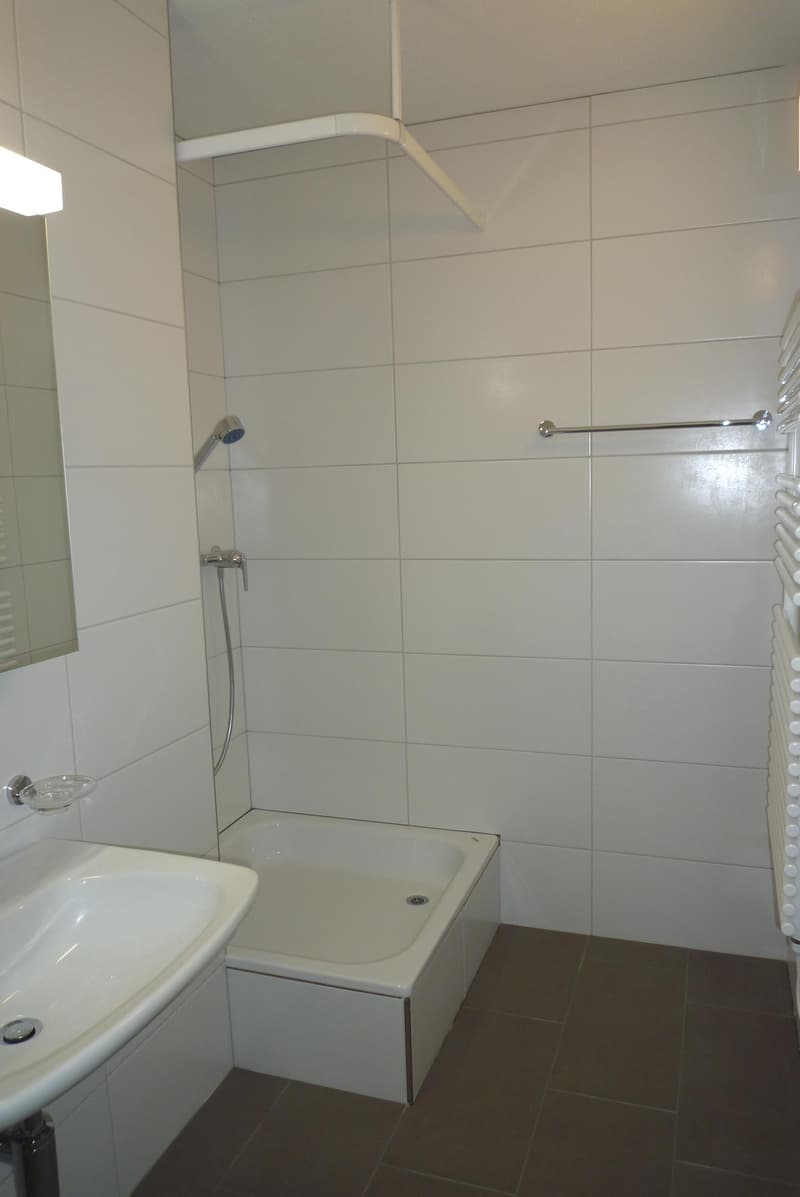 1.0 Zimmerwohnung in Winterthur (6)