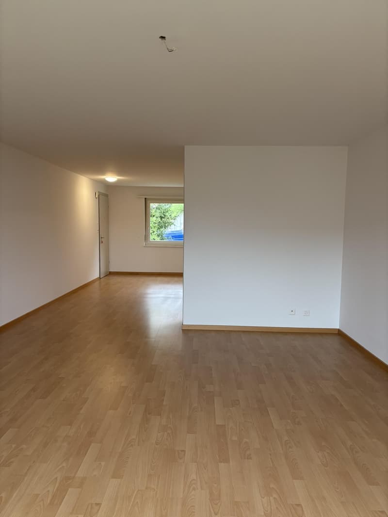 helle und grosszügige 3.5 Zimmerwohnung mit frisch sanierter Küche in St. Gallen (4)
