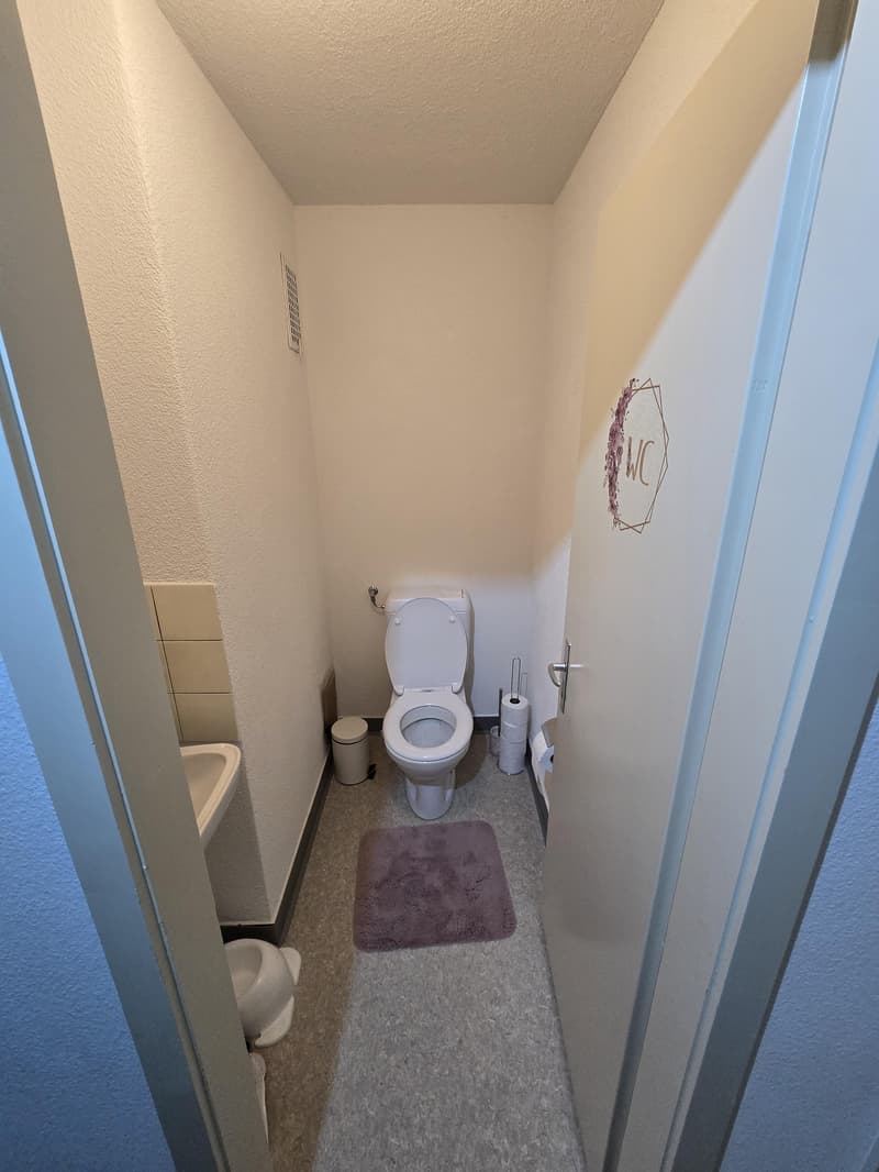 grosszügige 3.5-Zimmerwohnung in St. Gallen (10)