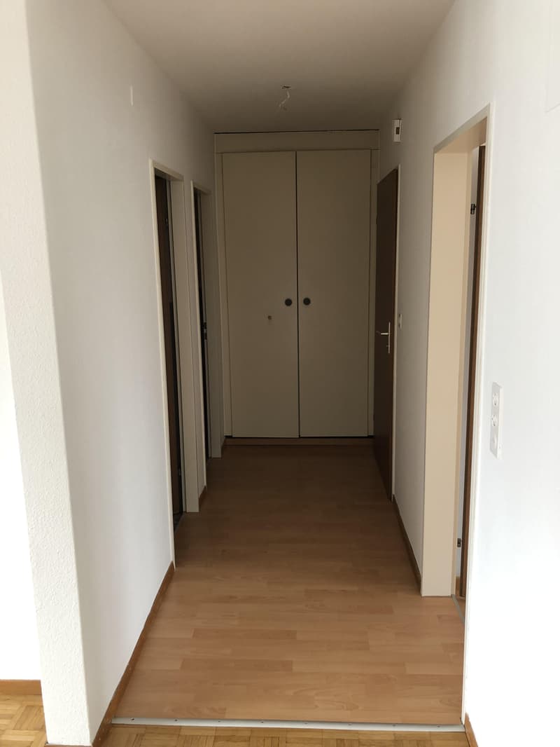 3.5 Zimmerwohnung in Embrach (5)