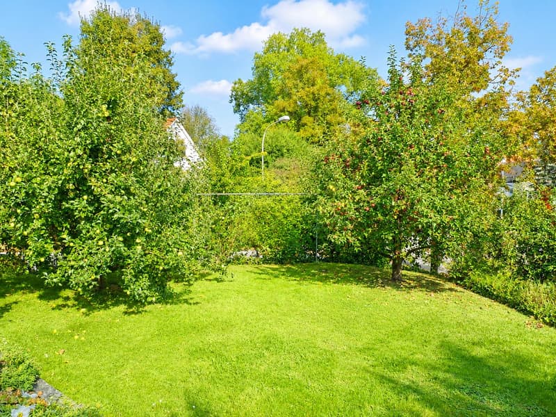 Traumhafte 6.5-Zimmerwohnung mit Cheminée und idyllischem Garten (12)