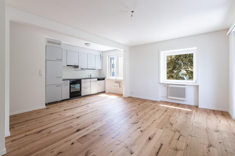 2.0 Zimmerwohnung in Winterthur (1)