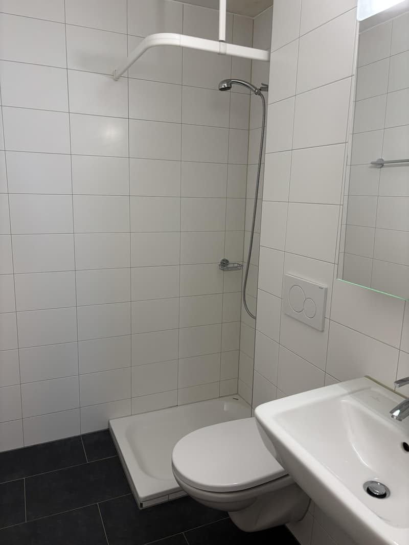 1-Zimmerwohnung in Winterthur (5)