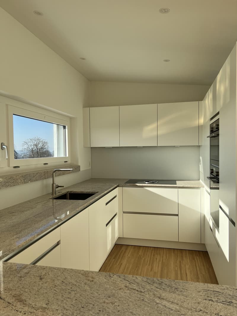 Einzigartige 3.5-Zimmer-Attika-Maisonette-Wohnung mit Weitsicht auf See und Berge (3)