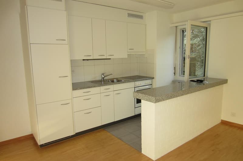1.0 Zimmerwohnung in Winterthur (3)