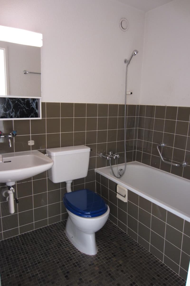 1.0 Zimmerwohnung in Winterthur (7)