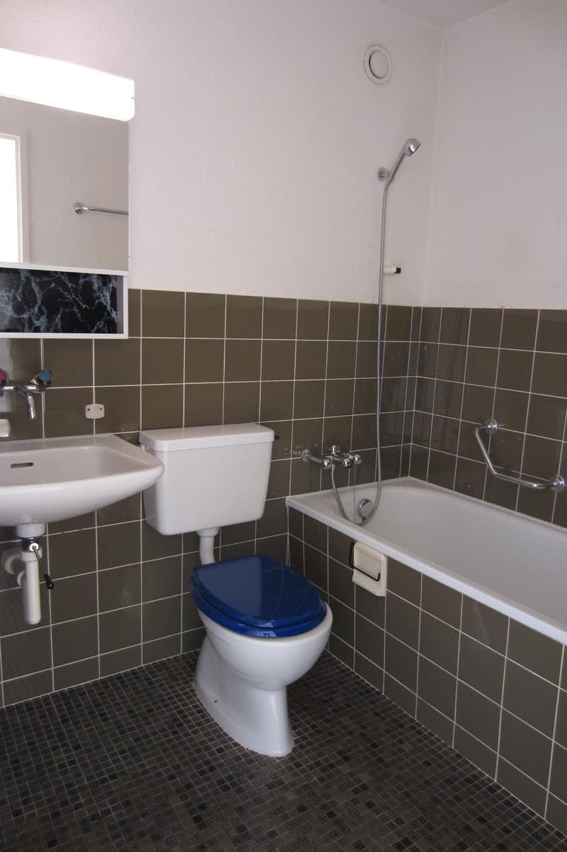 1.0 Zimmerwohnung in Winterthur (8)