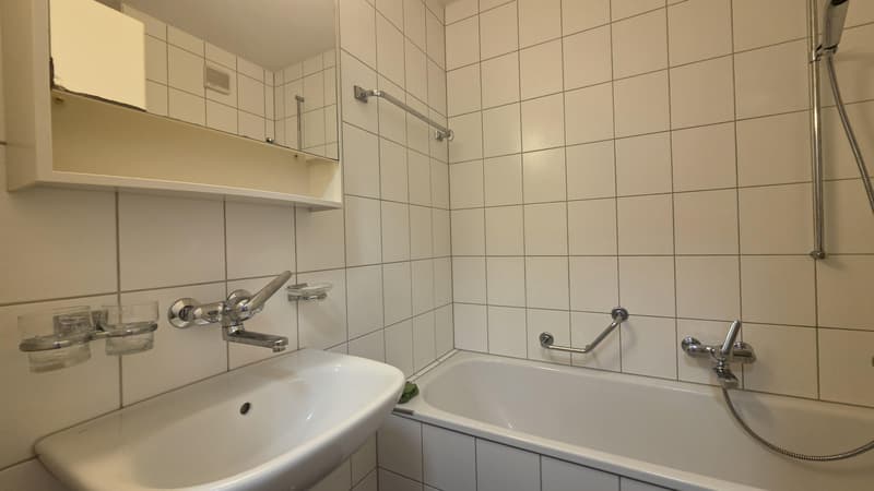 1.0 Zimmerwohnung in Winterthur (6)