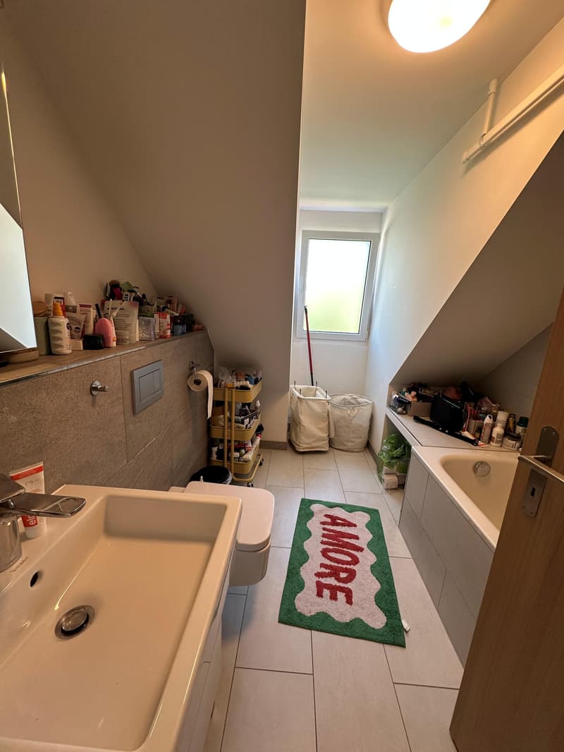 3-Zimmerwohnung in Winterthur (4)