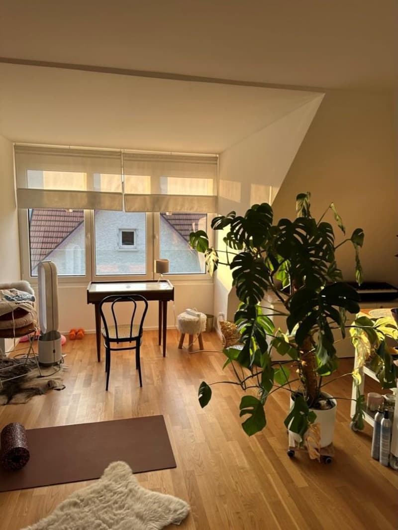 3-Zimmerwohnung in Winterthur (6)