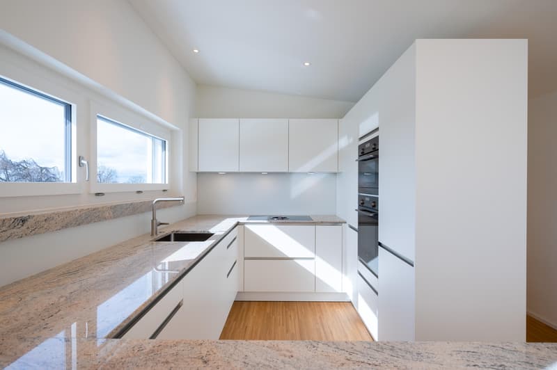 Einzigartige 3.5-Zimmer-Attika-Maisonette-Wohnung mit Weitsicht auf See und Berge (3)